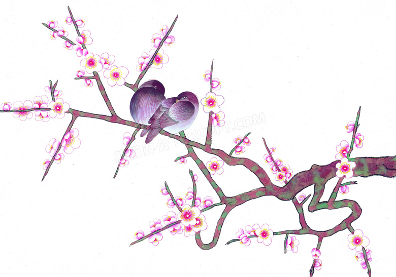 梅花枝头上的两只小鸟绘画创意图片