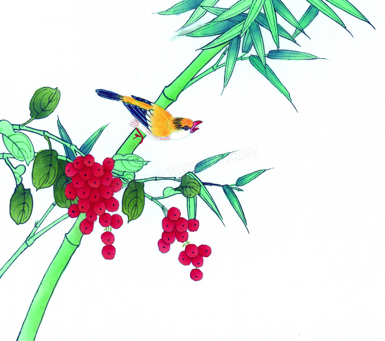 在绿叶竹子上的画眉鸟绘画高清图片