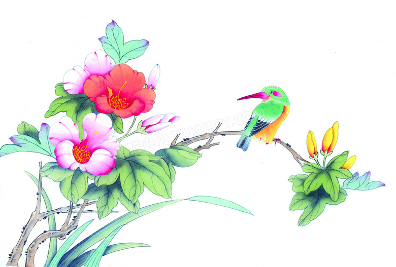 鲜艳花朵枝头上的小鸟绘画高清图片