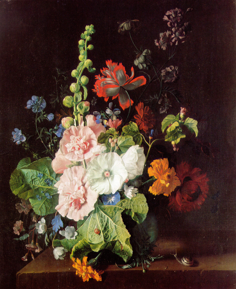 荷兰名画花瓶中的蜀葵主题高清图片