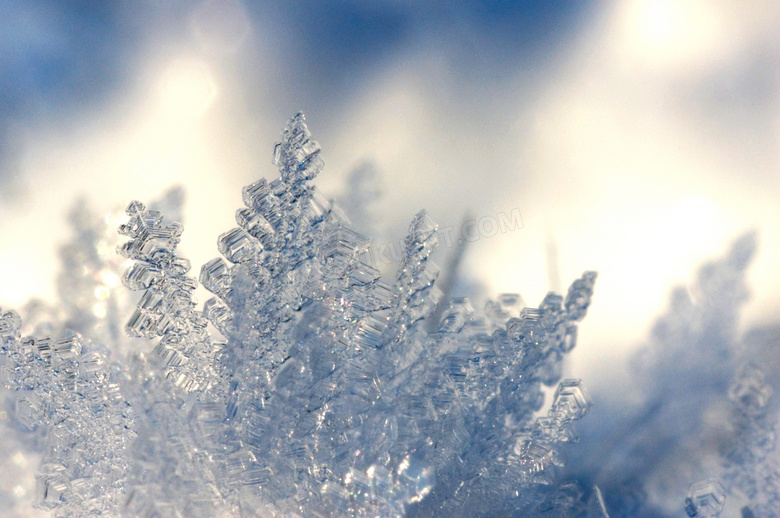 遇冷結晶成的雪花微距攝影高清圖片