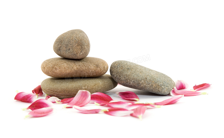 鹅卵石与粉红色的花瓣摄影高清图片