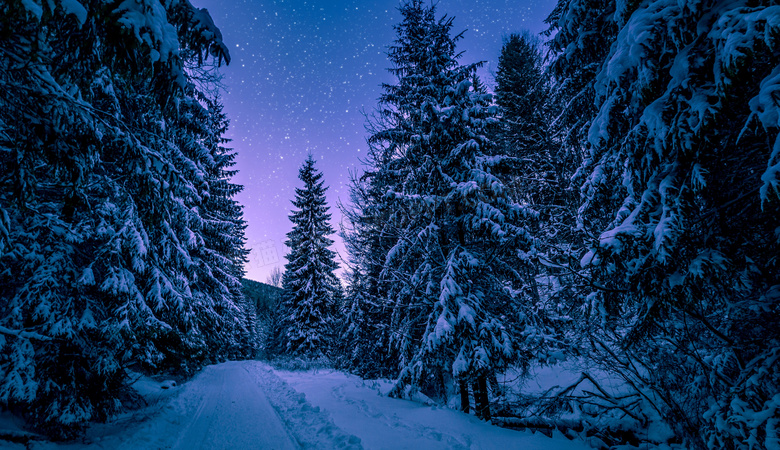 道路与满是白雪的树林摄影高清图片