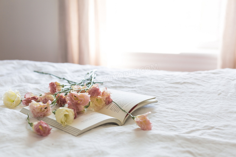 床上的书本与花朵特写摄影高清图片
