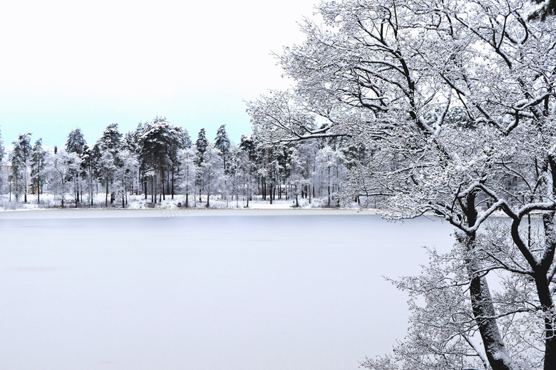 雪后树木与冰封的湖面摄影高清图片