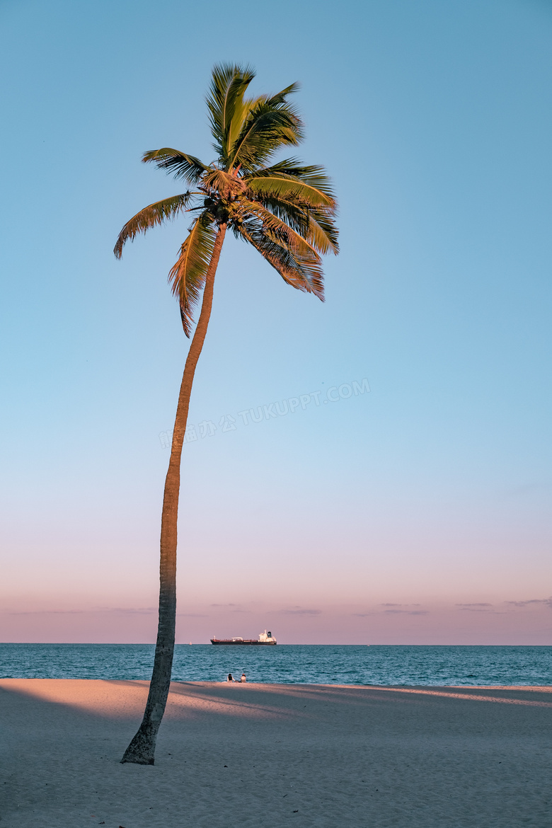 椰树与海上的轮船风光摄影高清图片