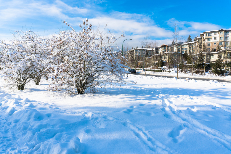 冬季城市美丽的雪景摄影图片