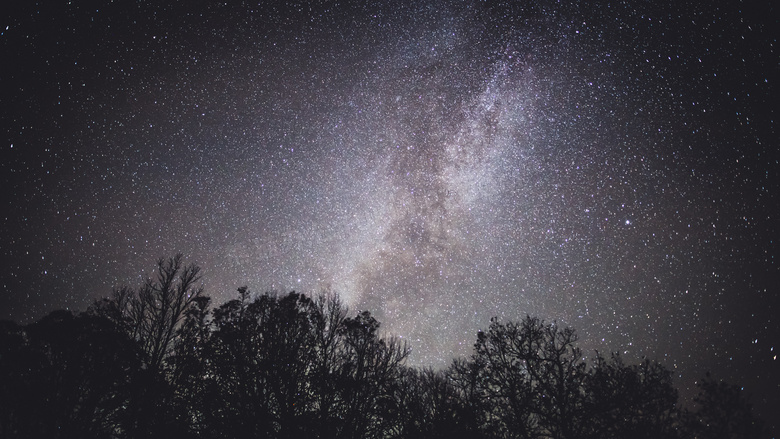 树林与点点繁星的夜空摄影高清图片