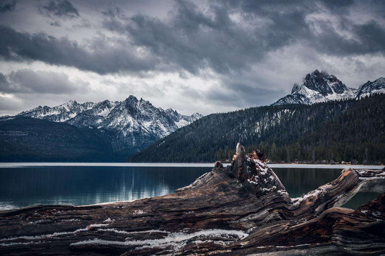 雪山树林与湖边的枯木摄影高清图片