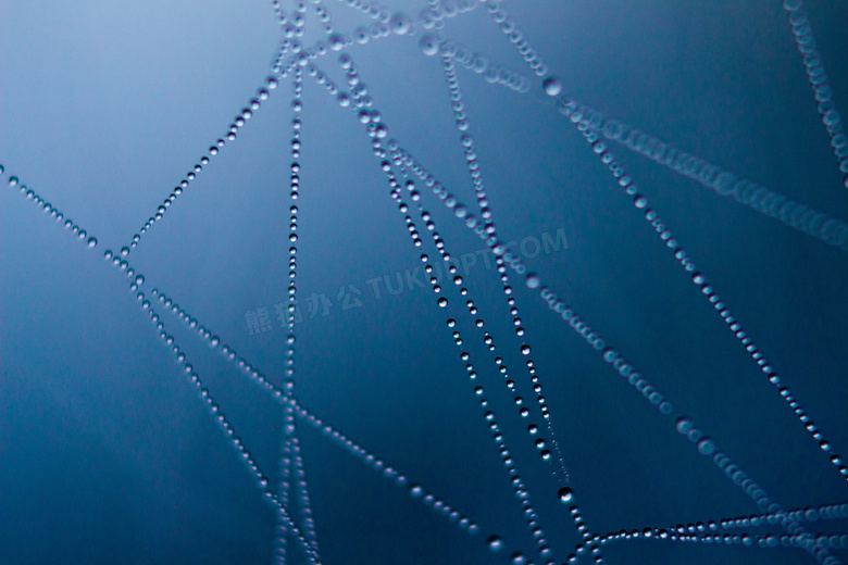 蜘蛛网上连成线的水珠摄影高清图片