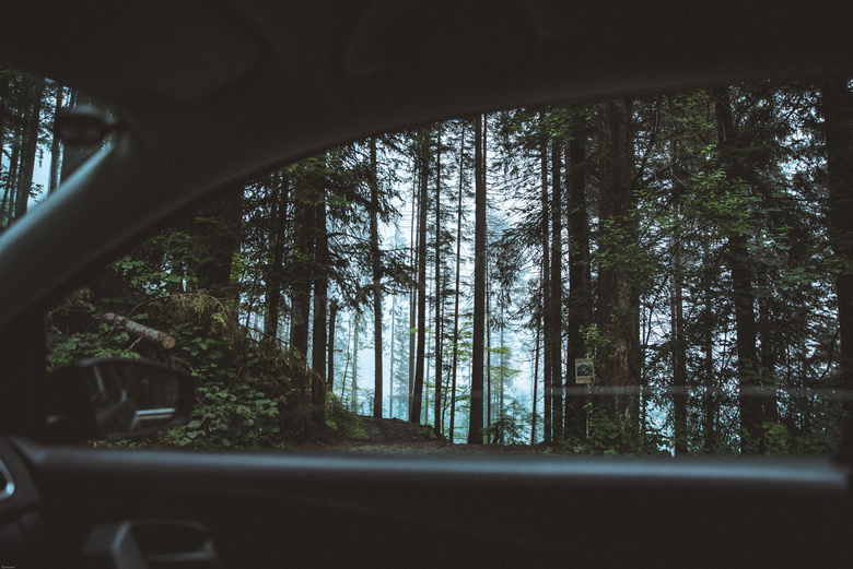 从车窗看到的树林风光摄影高清图片