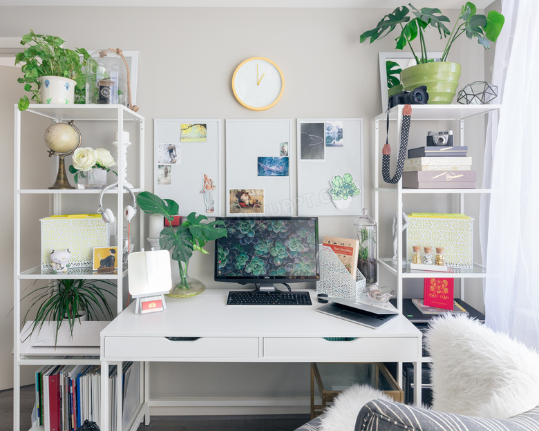 书桌置物架上的植物等摄影高清图片