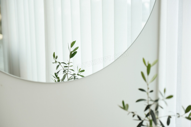 镜子里的绿叶植物特写摄影高清图片