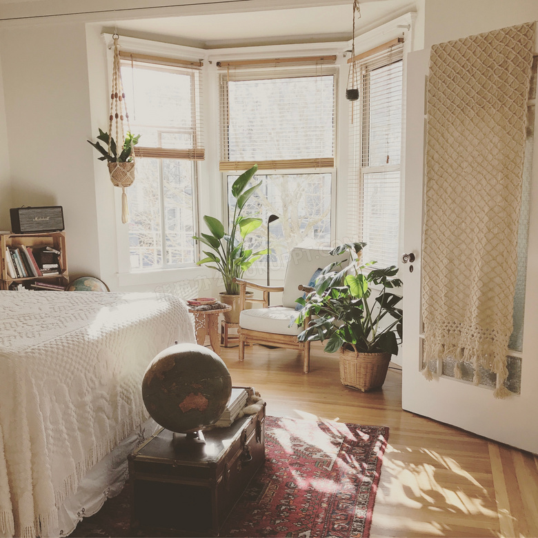 卧室陈设与绿叶的植物摄影高清图片