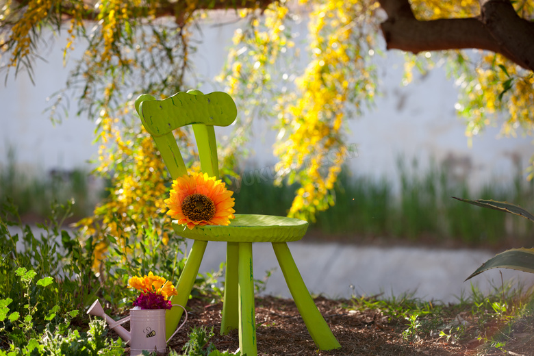 草丛与椅子上的一朵花摄影高清图片
