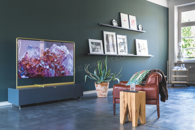 客厅沙发植物与电视机摄影高清图片