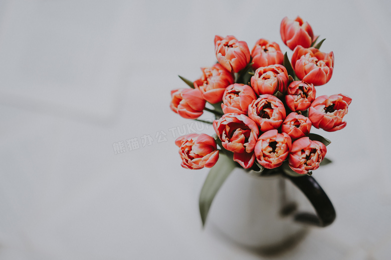 鲜艳红色花朵近景特写摄影高清图片