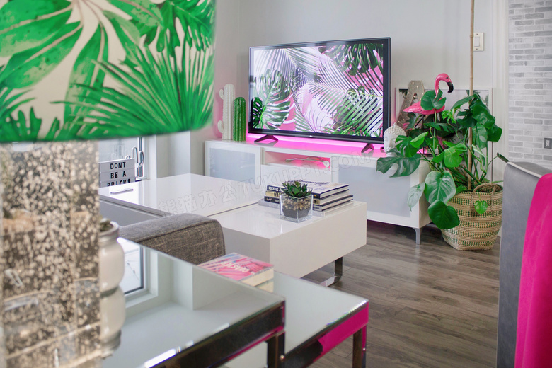 客厅电视机与绿植陈设摄影高清图片