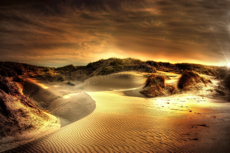 金灿灿的沙漠自然风景摄影高清图片