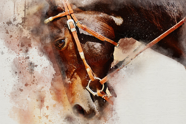 一匹棕色毛发马匹绘画创意高清图片