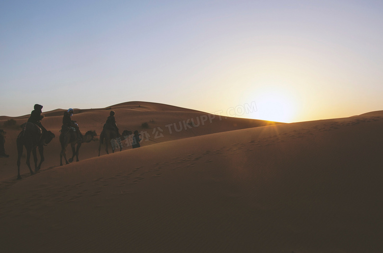 行进在沙漠的骆驼商队摄影高清图片