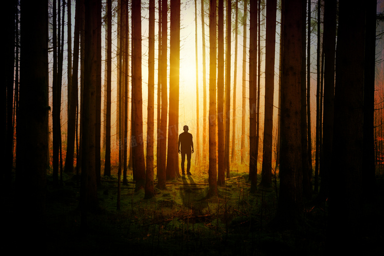 暖阳照耀下的林中人物摄影高清图片