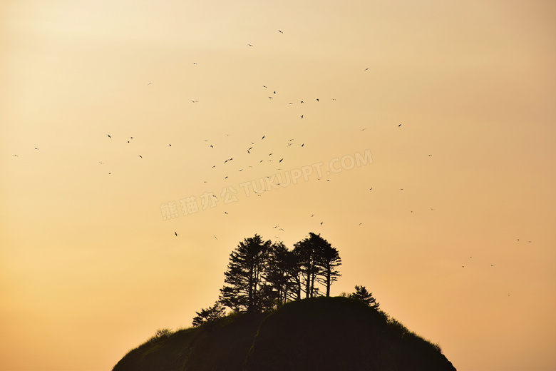 空中飞鸟与山顶的树木剪影高清图片
