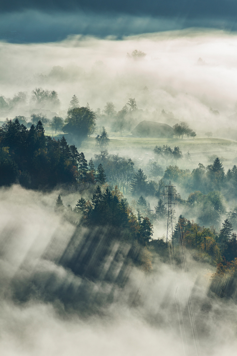 山坡上浓雾之中的树林摄影高清图片