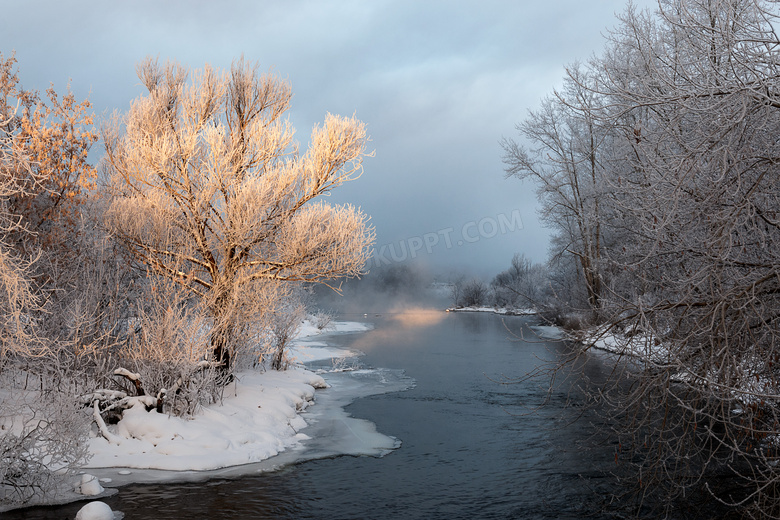 冬天河两岸的树木风光摄影高清图片