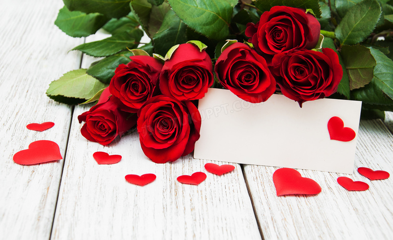 红玫瑰花与空白的卡片摄影高清图片