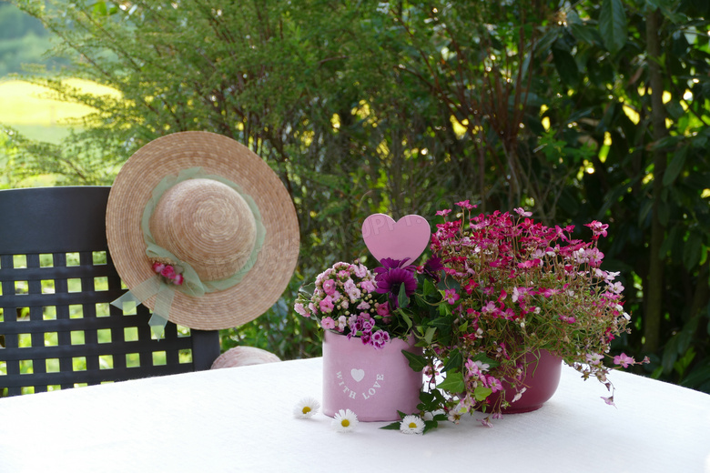 遮阳帽心形与花卉植物摄影高清图片
