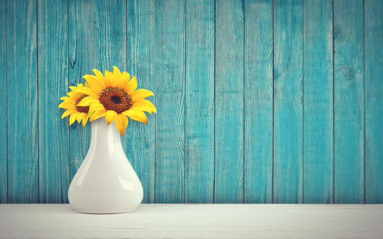 靠着木板墙的向日葵花摄影高清图片