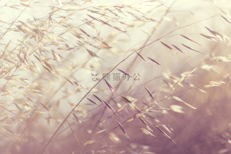 特写 深度 属于