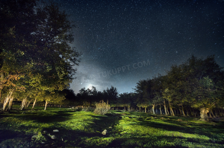 树林草地与满天的繁星摄影高清图片