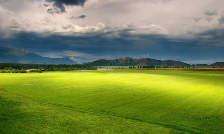 乌云下的绿色草地摄影图片