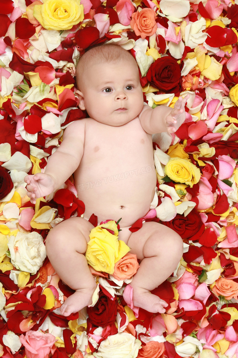 躺在玫瑰花瓣上的可爱宝宝高清图片