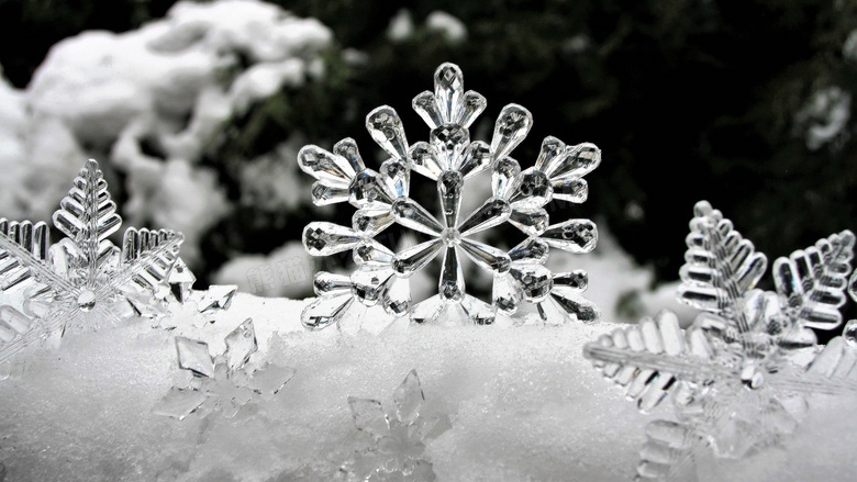 雪地上的晶莹雪花微距摄影高清图片