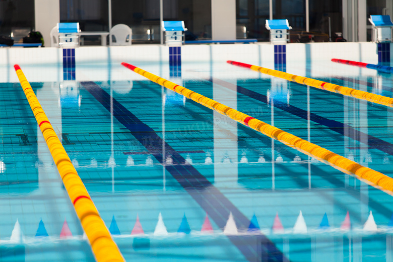 比赛规格布置室内泳池摄影高清图片
