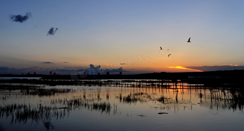 湿地公园夕阳美景摄影图片