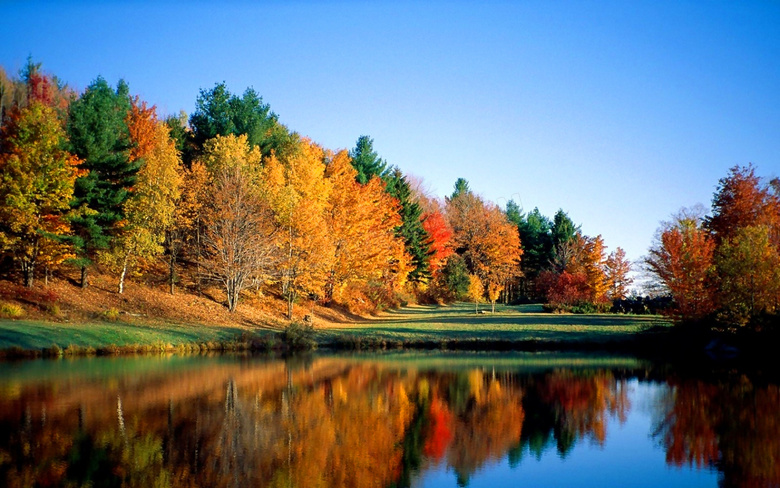 秋季树林和河流美景摄影图片
