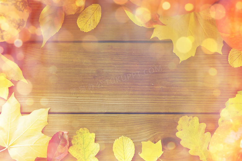 木板上的秋天树叶边框摄影高清图片