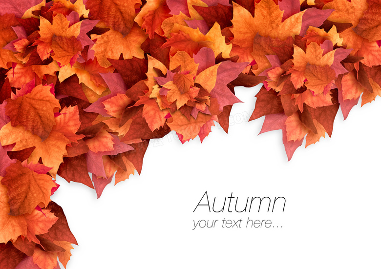 秋天红黄色的树叶边框设计高清图片
