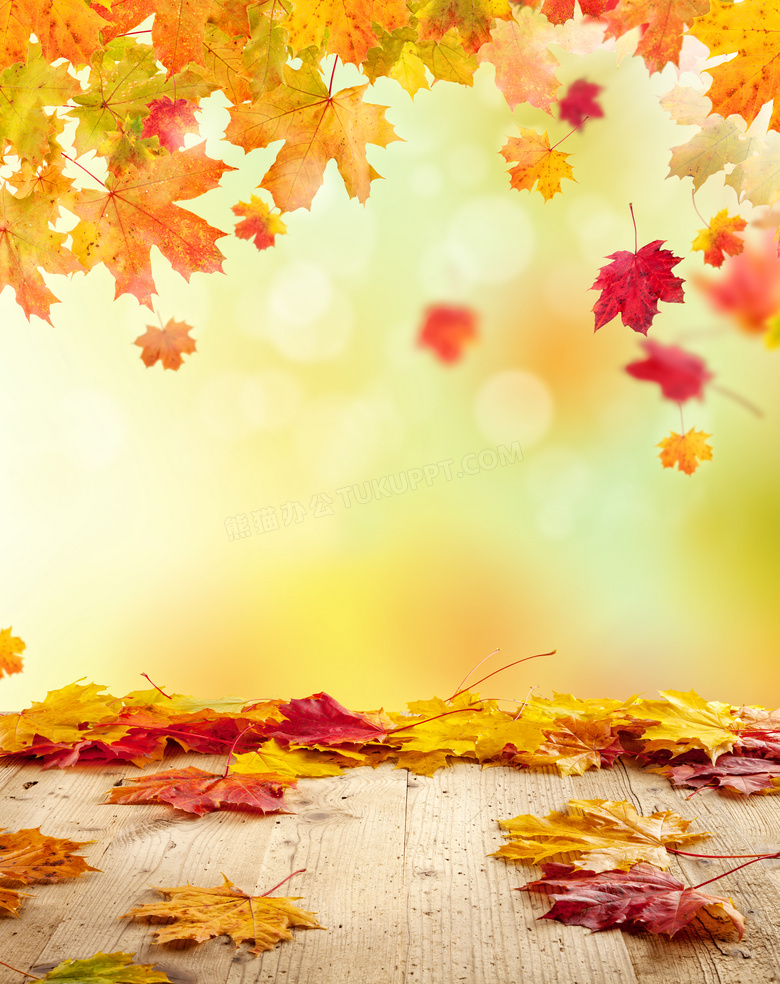 秋天落叶缤纷情景朦胧效果高清图片