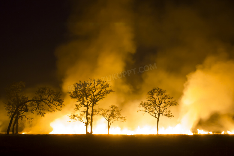 伴有白色烟的森林大火摄影高清图片