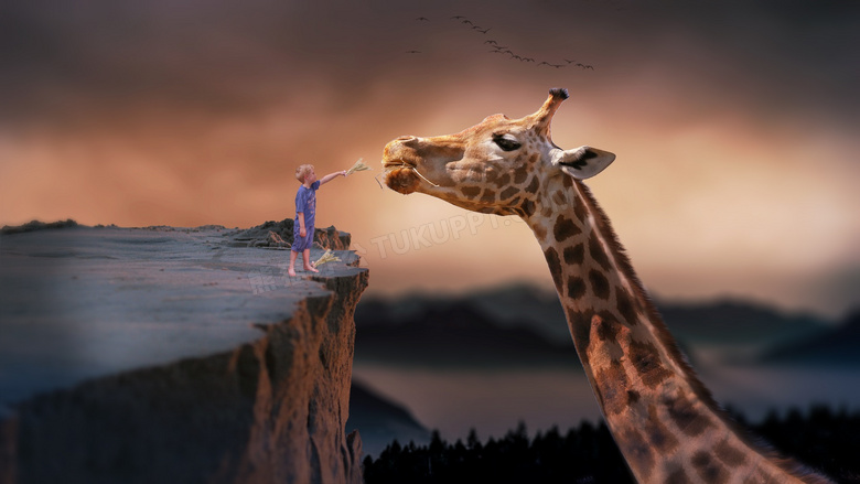 站在悬崖边给长颈鹿喂食的男孩图片