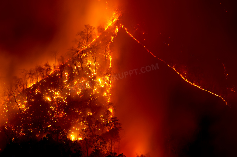 被大火袭击的山坡树林摄影高清图片