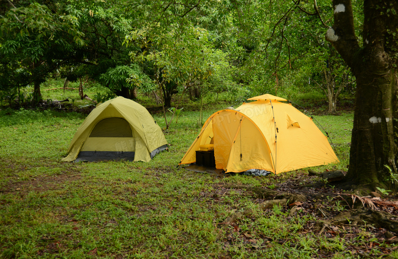 树林草地上的露营帐篷摄影高清图片