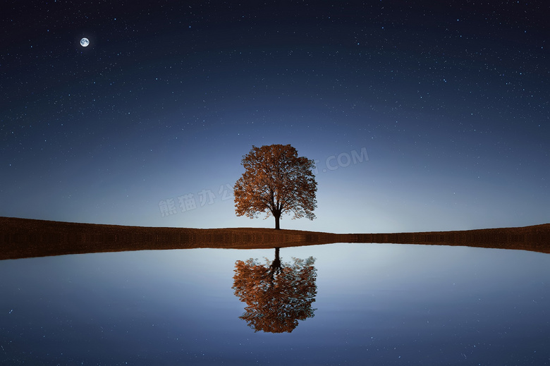 星空圆月与水中树创意摄影高清图片
