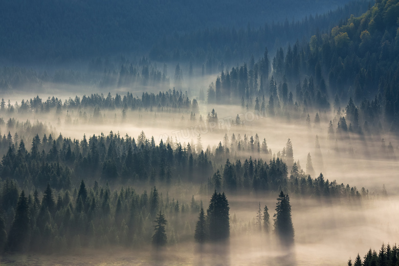山林中清晨雾气景色摄影图片