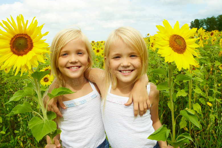 向日葵种植园里的儿童摄影高清图片